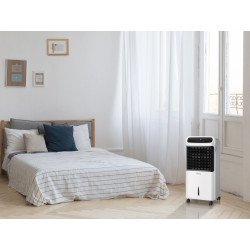 Raffrescatore evaporativo/ riscaldamento,/umidificatore/ionizzatore, Rafy 95, Purline